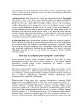 Darbas su kompiuteriu ir sveikata 6 puslapis