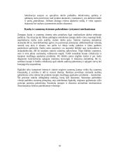 Darbas su kompiuteriu ir sveikata 10 puslapis