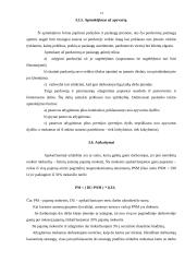 Darbas. Darbo režimas. Darbo apmokestinimas 14 puslapis