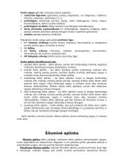 Darbo aplinka ir šiluminė aplinka 2 puslapis