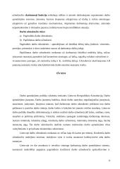 Darbo apmokėjimas 11 puslapis