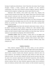 Darbo apmokėjimas 5 puslapis