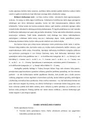 Darbo apmokėjimas 6 puslapis