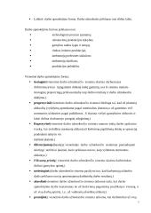 Darbo apmokėjimas 7 puslapis