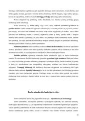 Darbo apmokėjimas 10 puslapis