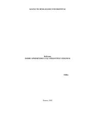 Darbo apmokėjimo lygį veikiantieji veiksniai