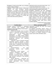 Darbo apmokėjimo lygį veikiantieji veiksniai 19 puslapis