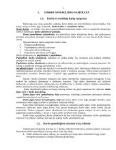 Darbo apmokėjimo lygį veikiantieji veiksniai 3 puslapis