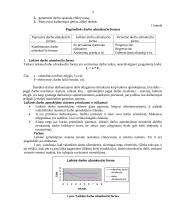 Darbo apmokėjimo lygį veikiantieji veiksniai 4 puslapis