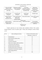 Darbo apmokėjimo nuostatai 6 puslapis