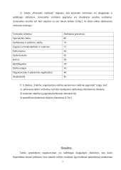 Darbo apmokėjimo nuostatai 7 puslapis