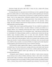 Darbo biržos vaidmuo Lietuvoje