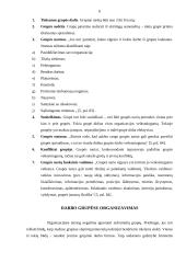 Darbo grupėse organizavimas ir valdymas 6 puslapis