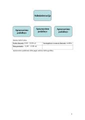 Darbo ir civilinės saugos projektas: parduotuvių tinklas "Jazminas" 4 puslapis