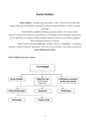 Darbo išteklių analizė 3 puslapis