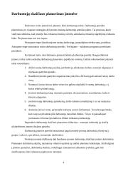Darbo išteklių analizė 4 puslapis