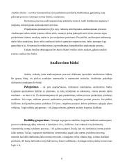 Darbo išteklių analizė 6 puslapis
