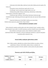 Darbo išteklių analizė 10 puslapis
