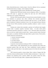 Darbo jėga 10 puslapis