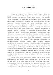 Darbo jėgos išteklių analizė Šilutėje 12 puslapis