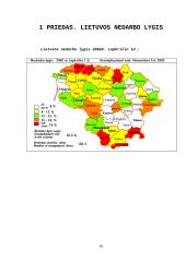 Darbo jėgos išteklių analizė Šilutėje 16 puslapis