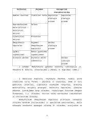 Darbo jėgos išteklių analizė Šilutėje 6 puslapis