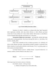 Darbo jėgos sutartis. Darbo jėgos tendencijos Lietuvoje 5 puslapis