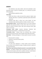 Darbo laiko panaudojimas 2 puslapis