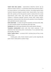 Darbo laiko panaudojimas 3 puslapis