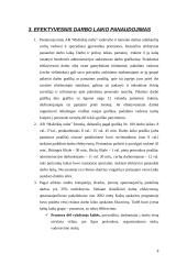 Darbo laiko panaudojimas 7 puslapis