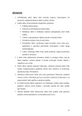 Darbo laiko panaudojimas 9 puslapis
