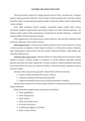 Darbo organizavimas 2 puslapis