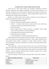 Darbo organizavimas 11 puslapis