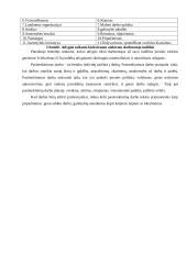 Darbo organizavimas 12 puslapis