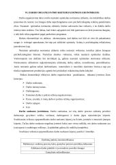 Darbo organizavimas 7 puslapis