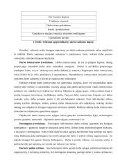 Darbo organizavimas 8 puslapis