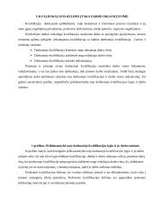 Darbo organizavimas 10 puslapis