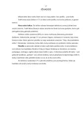 Darbo paieškos organizavimas 17 puslapis