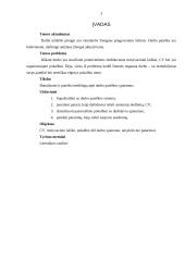 Darbo paieškos organizavimas 3 puslapis