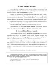 Darbo paieškos organizavimas 4 puslapis