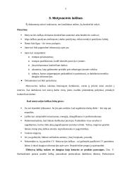 Darbo paieškos organizavimas 5 puslapis