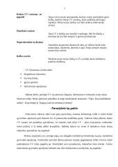 Darbo paieškos organizavimas 7 puslapis