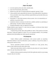 Darbo paieškos organizavimas 8 puslapis