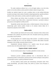 Darbo paieškos organizavimas 9 puslapis