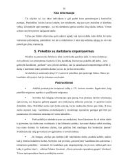 Darbo paieškos organizavimas 10 puslapis