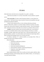 Darbo paieškos strategija 12 puslapis