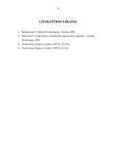 Darbo paieškos strategija 13 puslapis
