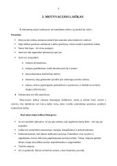 Darbo paieškos strategija 5 puslapis