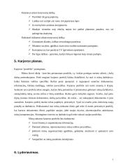Darbo paieška, karjera ir lyderiavimas 7 puslapis