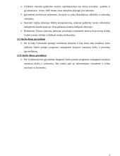 Darbo partija Lietuvos politinėje sistemoje 6 puslapis